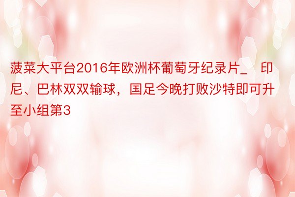 菠菜大平台2016年欧洲杯葡萄牙纪录片_⚡印尼、巴林双双输球，国足今晚打败沙特即可升至小组第3