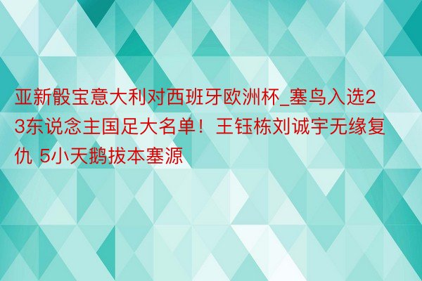 亚新骰宝意大利对西班牙欧洲杯_塞鸟入选23东说念主国足大名单！王钰栋刘诚宇无缘复仇 5小天鹅拔本塞源